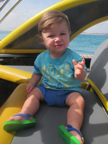 img_0316.jpg img_0316.jpg