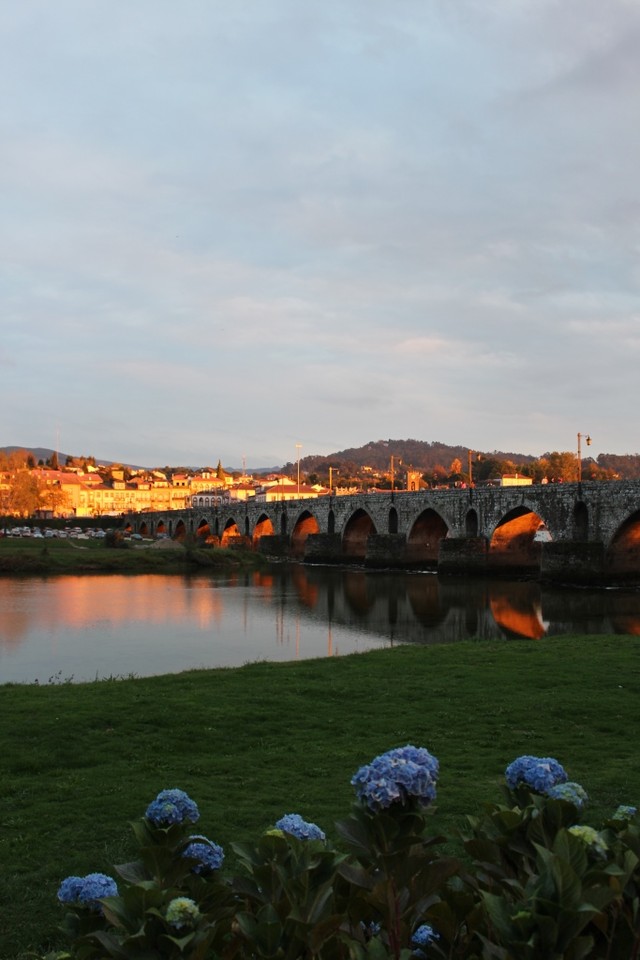 IMG_8229.JPG IMG_8229.JPG