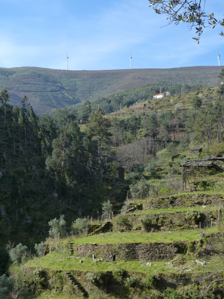 Piódão (6).JPG Piódão (6).JPG