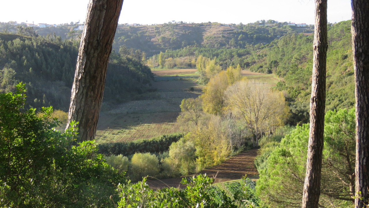 2017-11-05 16-43-54_0169.JPG 2017-11-05 16-43-54_0169.JPG