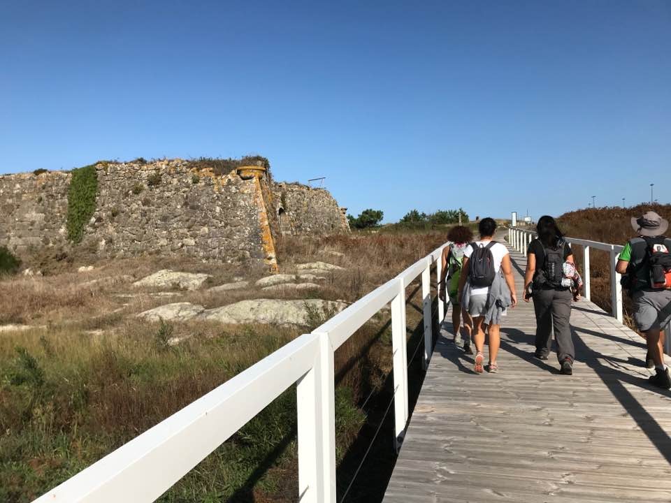 22814043_1917141314966949_386028043321575149_n.jpg 22814043_1917141314966949_386028043321575149_n.jpg