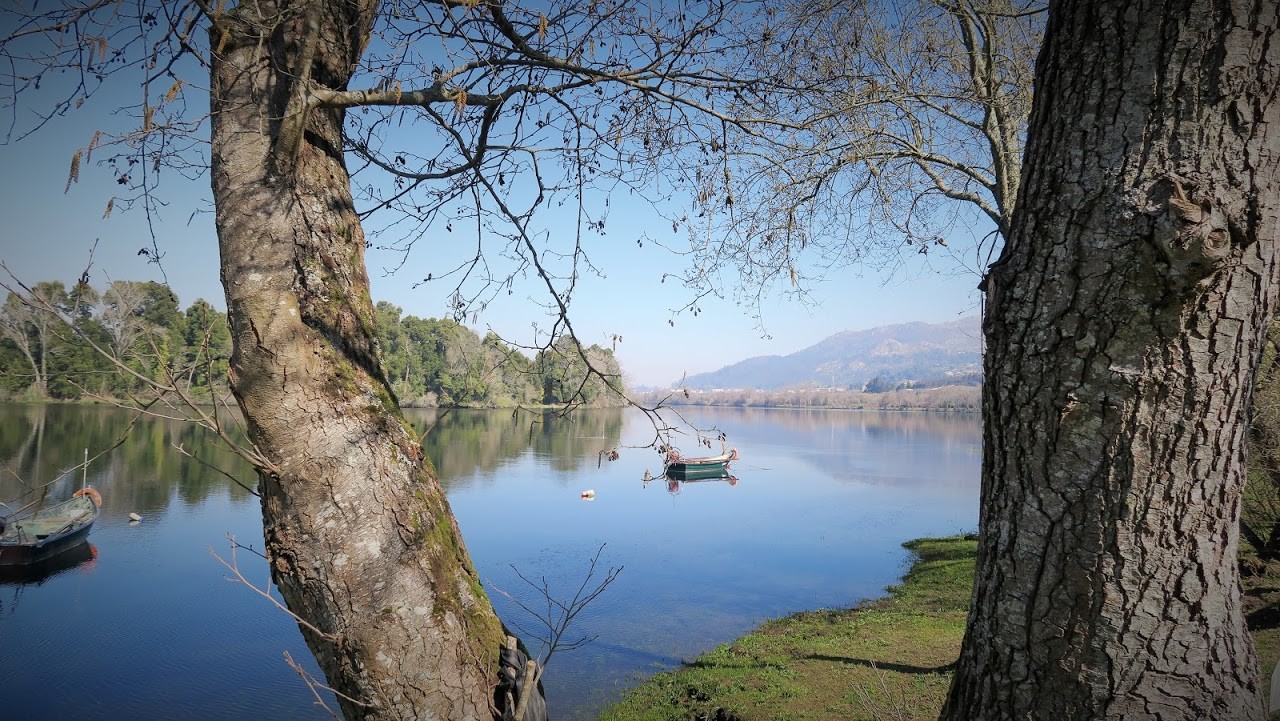 IMG_0041.JPG IMG_0041.JPG