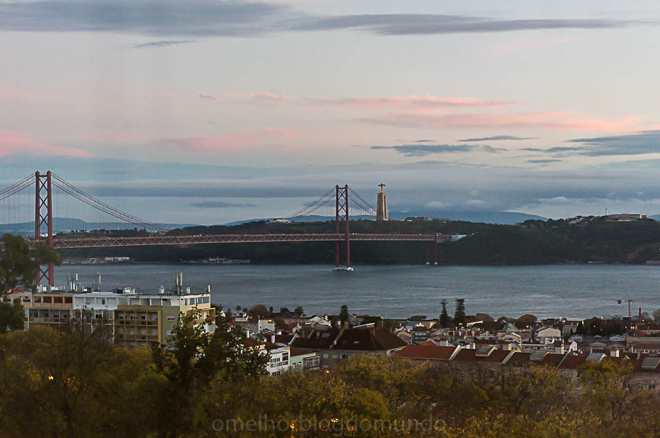 DSC07031.jpg DSC07031.jpg