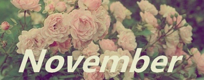 november.jpg