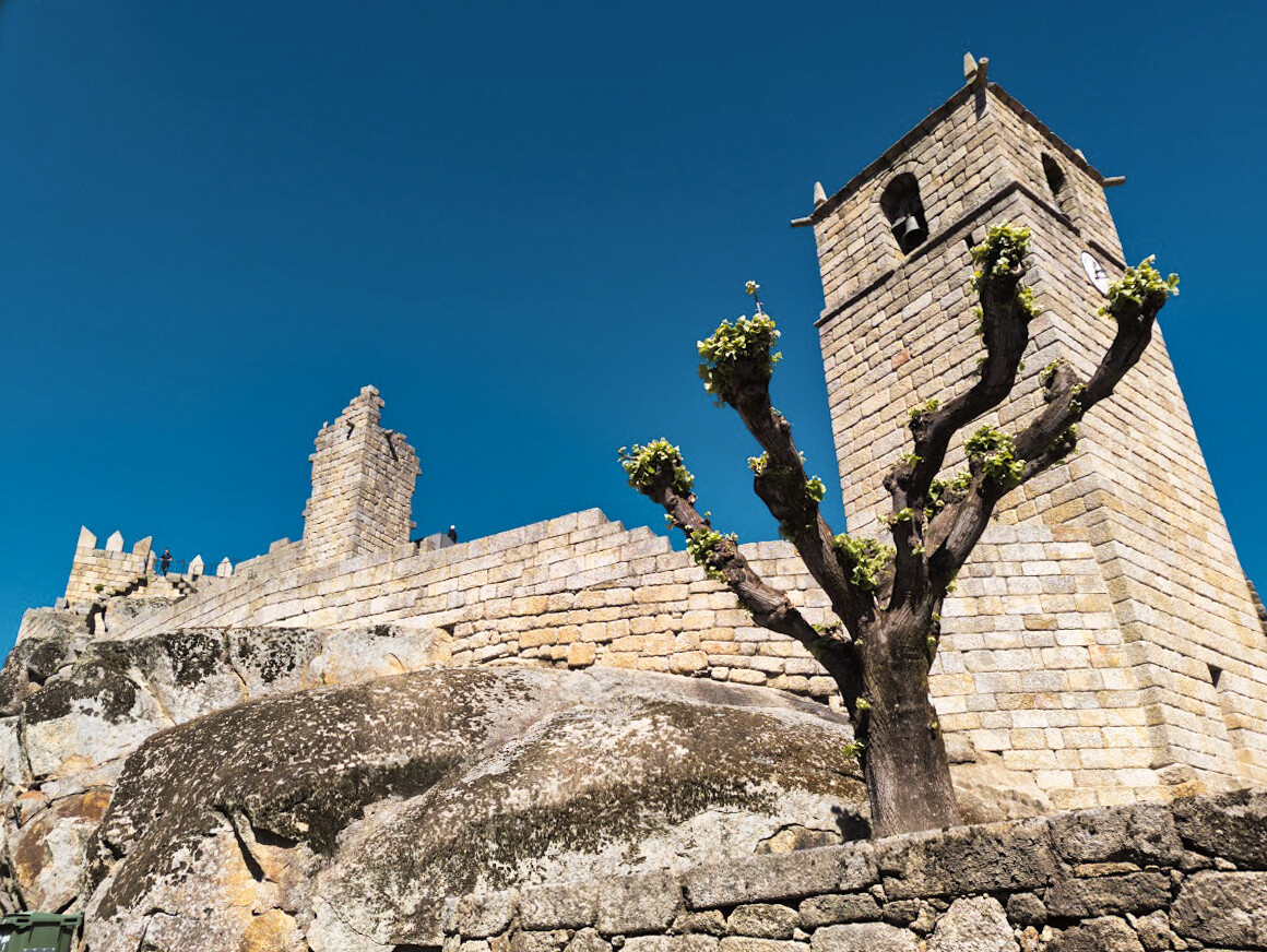 castelo novo castelo.jpg