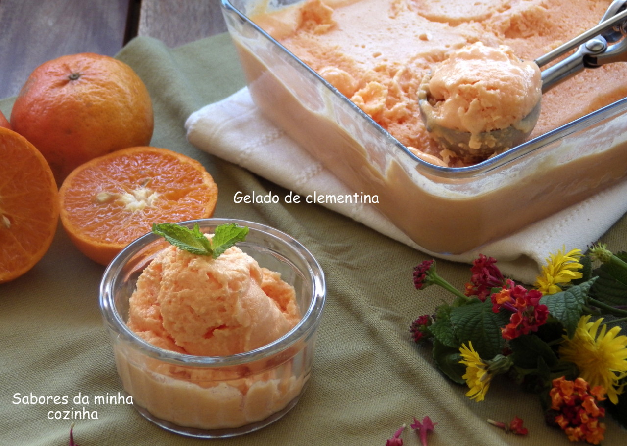 IMGP8587-gelado de clementina-Blog.JPG IMGP8587-gelado de clementina-Blog.JPG