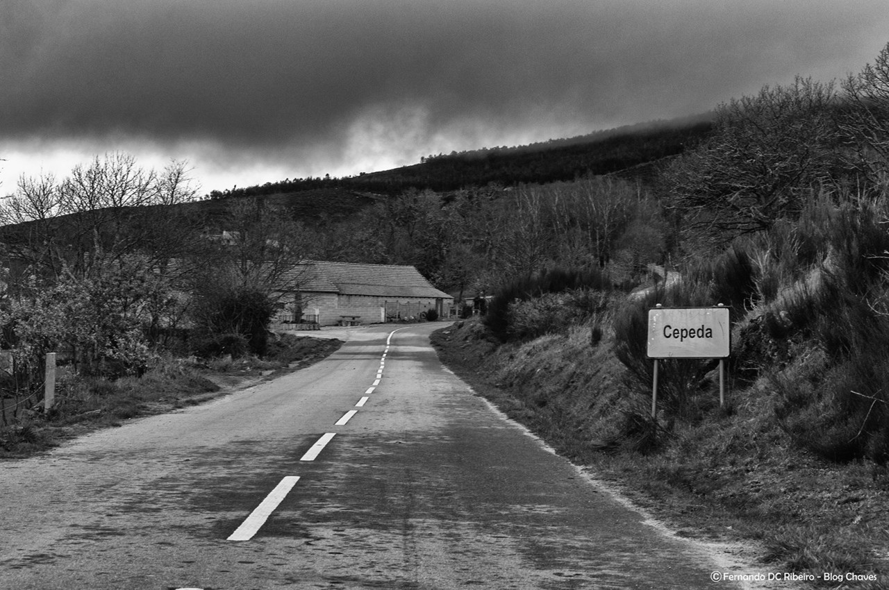 1600-cepeda (2)-video.jpg