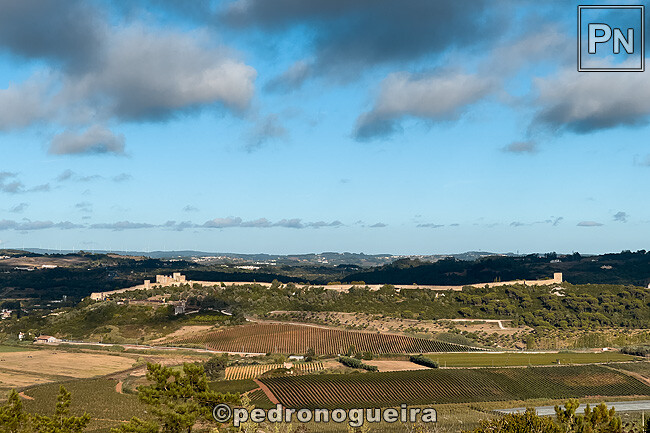 Set_2025_082 650px.jpg