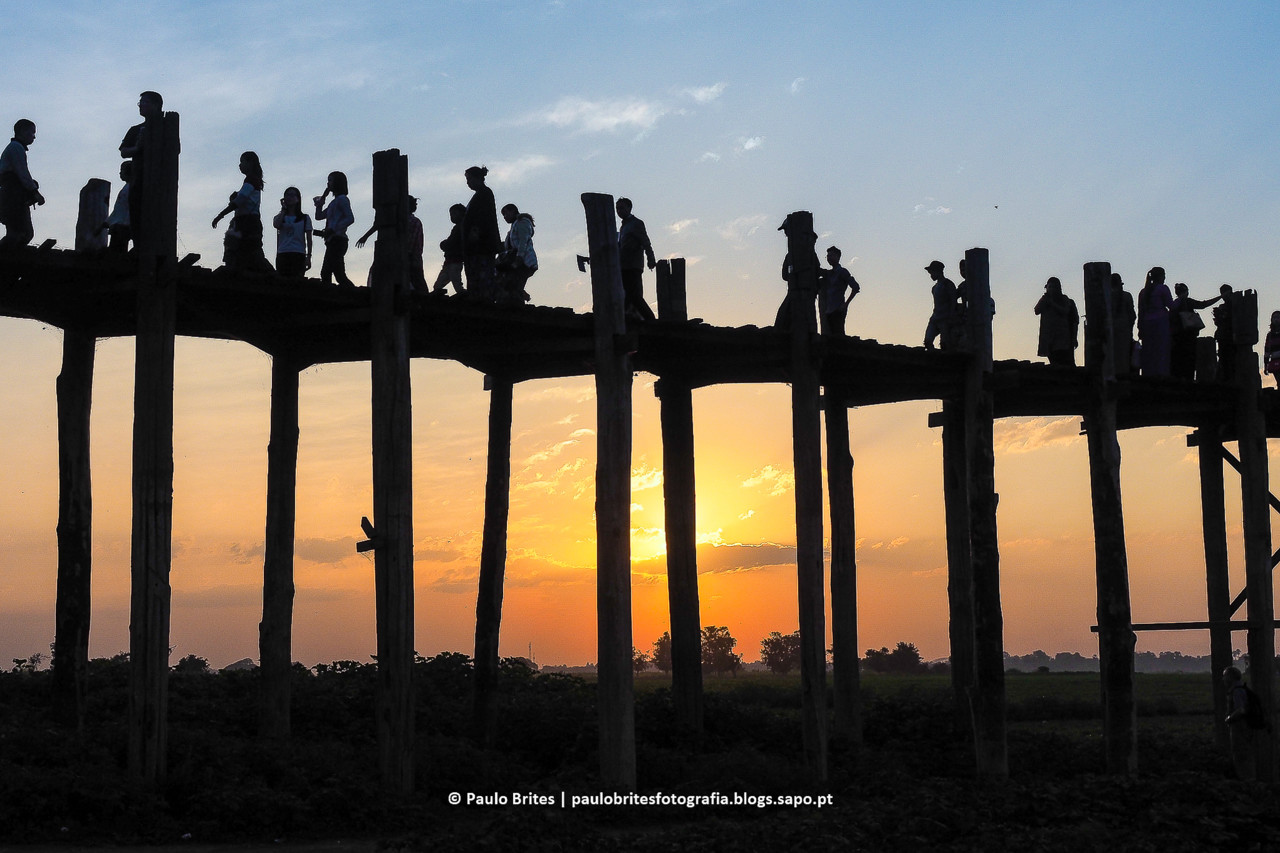 DSC_10844 - Inia-1-2.jpg