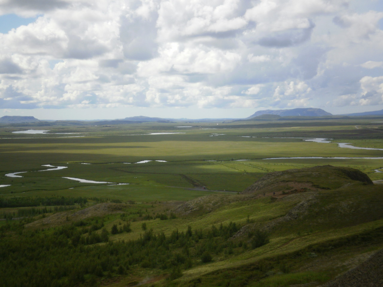 Vacas 1.JPG Vacas 1.JPG