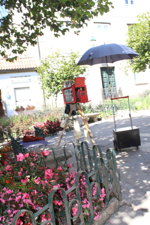 IMG_0308.JPG IMG_0308.JPG