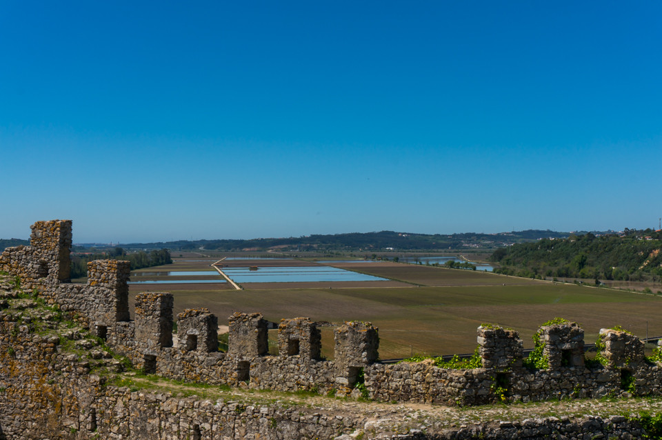 DSC01563.jpg DSC01563.jpg