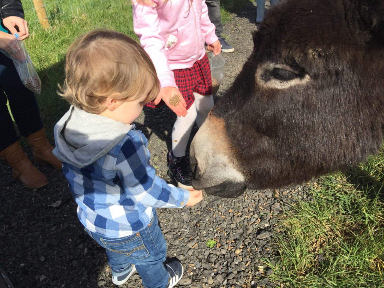 20170326_131624053_ios.jpg 20170326_131624053_ios.jpg