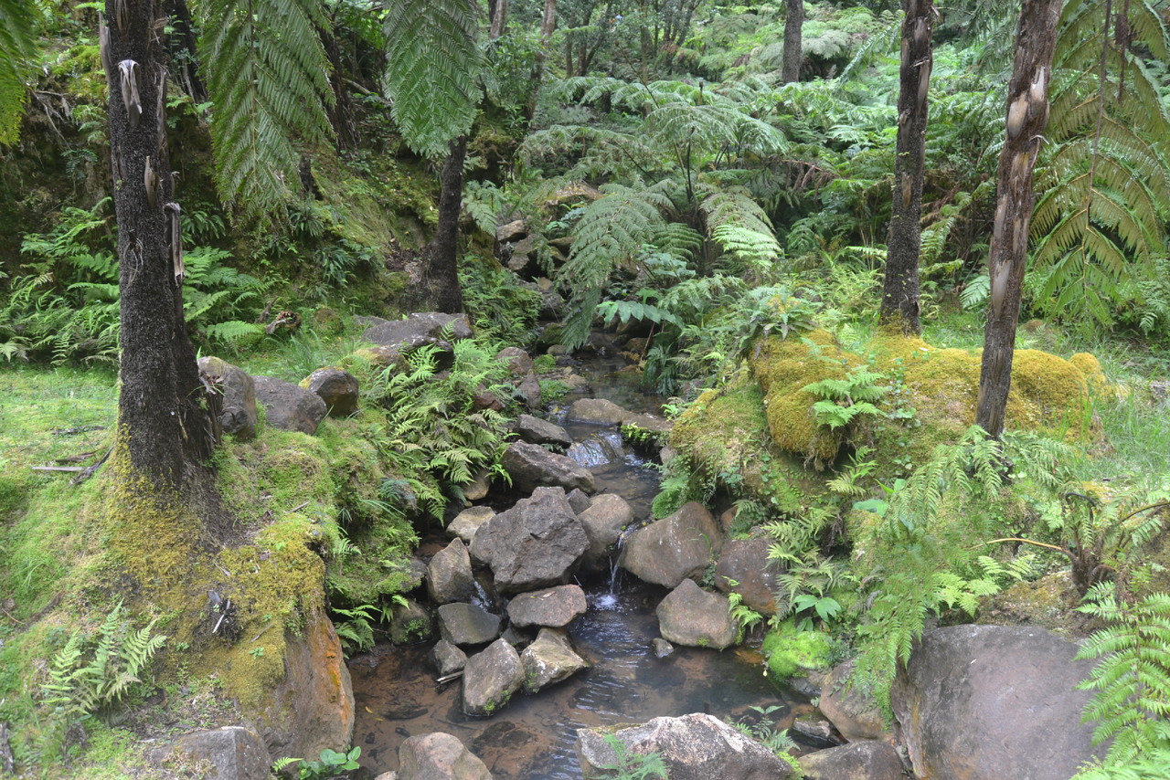 DSC_0906.JPG DSC_0906.JPG