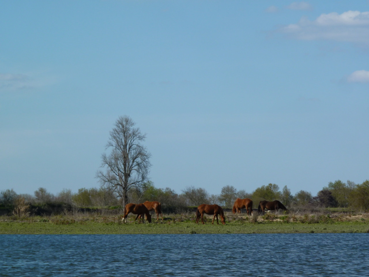 Passeio de barco (15).JPG