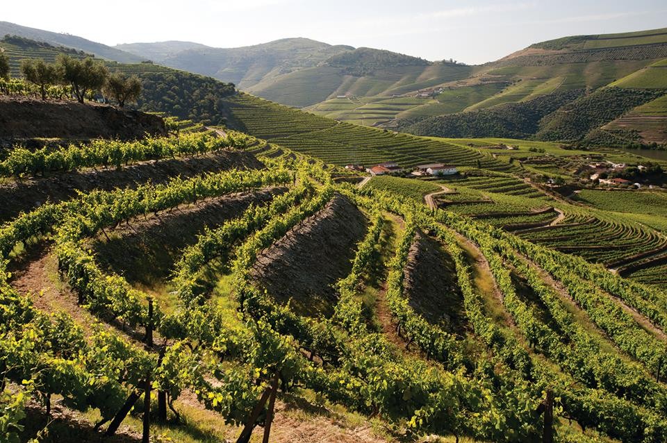 10533456_812484398873737_7376211817177753200_n