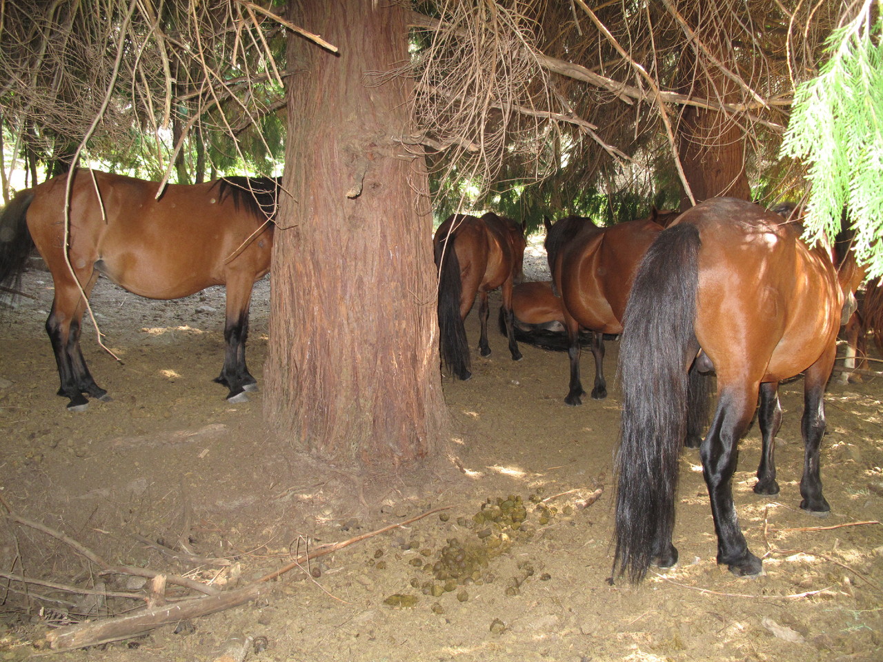 IMG_3618.JPG IMG_3618.JPG