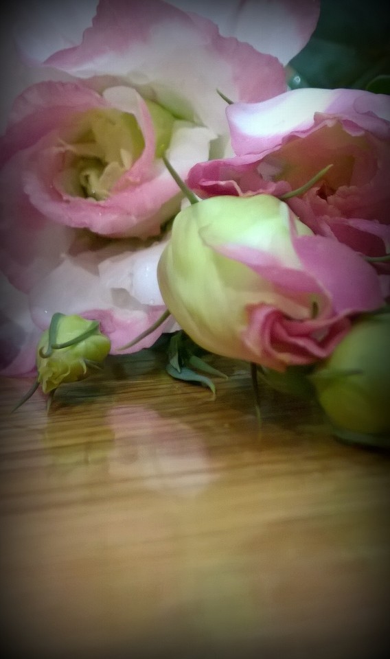 WP_20150713_024b.jpg WP_20150713_024b.jpg