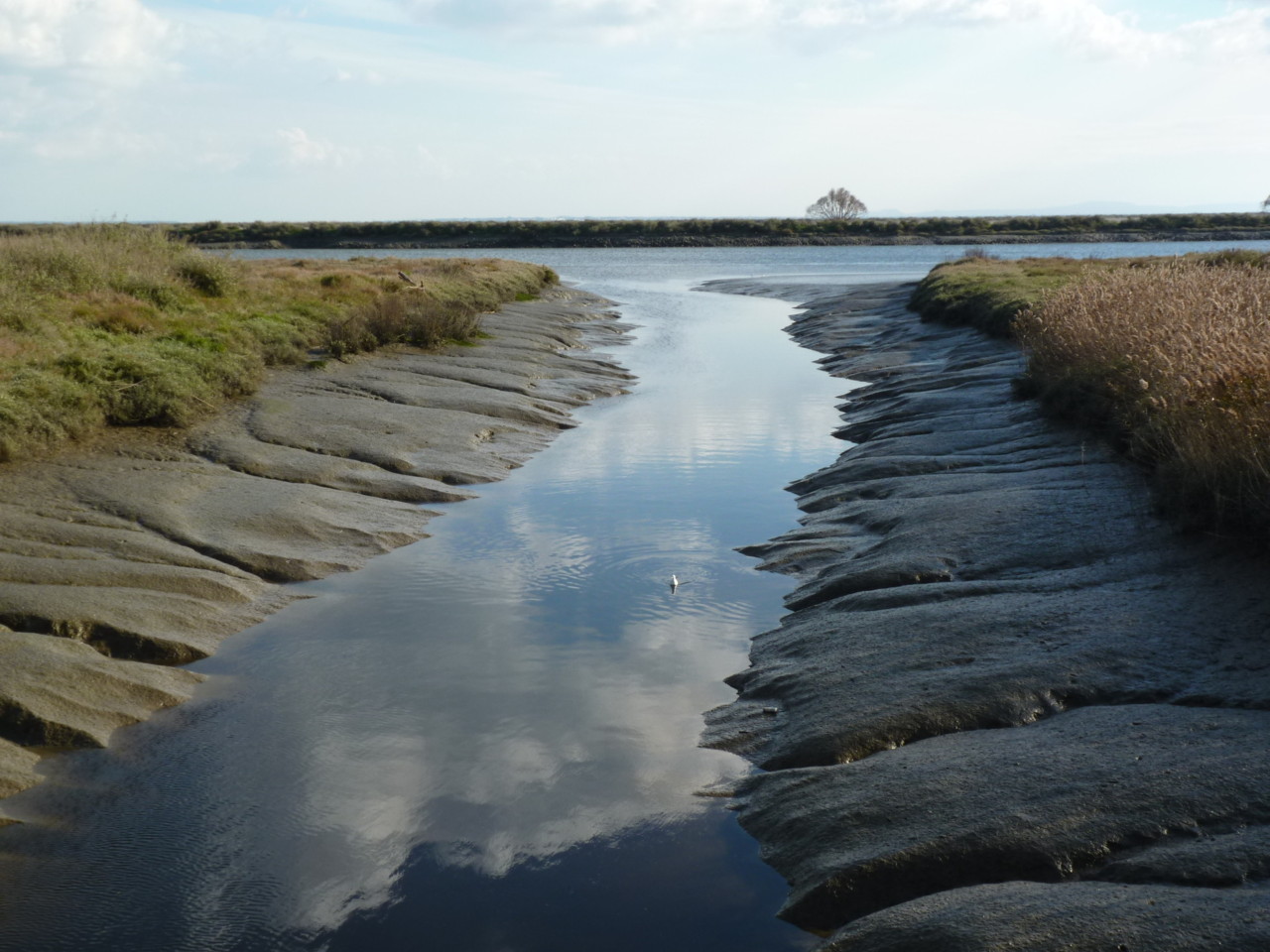 Parque Linear Ribeirinho do Estuário do Tejo.JPG