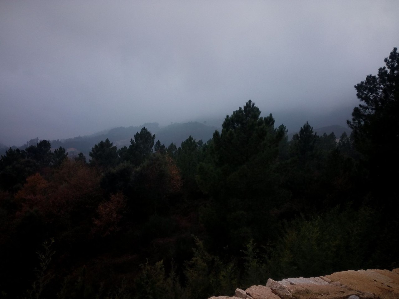 27164411_1565412463544399_6015791176681299855_o.jp