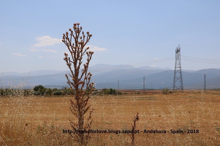 andalucia2eng.jpg andalucia2eng.jpg
