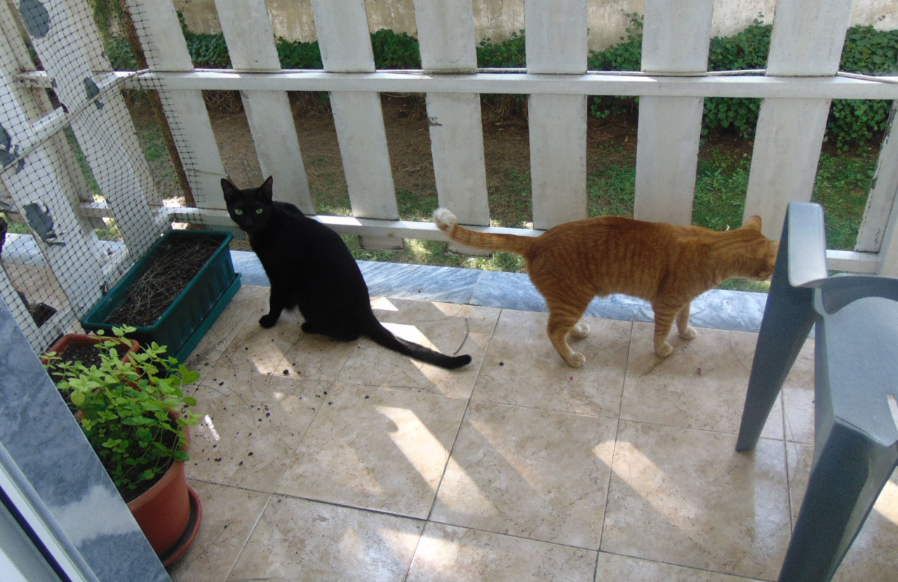 002365.JPG 002365.JPG