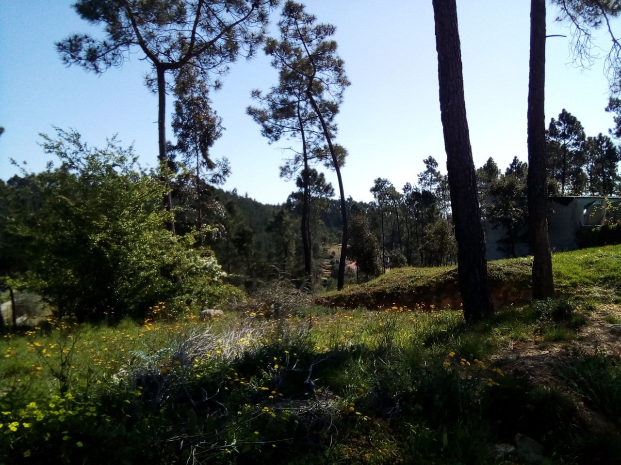 IMG_20190325_105155.jpg IMG_20190325_105155.jpg