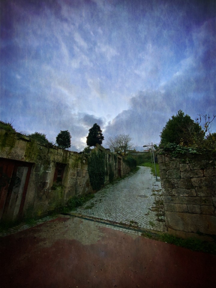 IMG_3205 - cópia.jpg