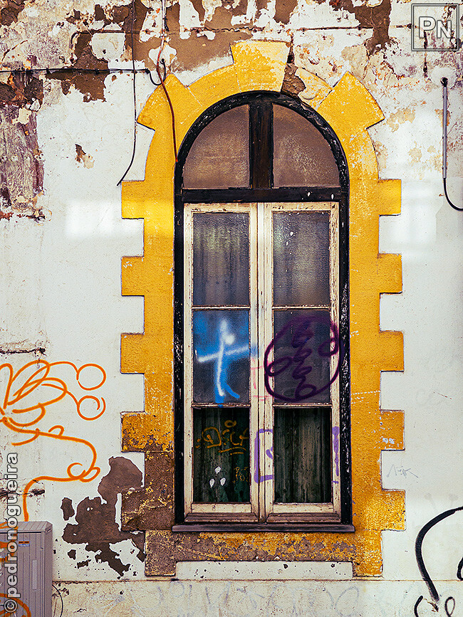 Jan_2023_027 650px.jpg