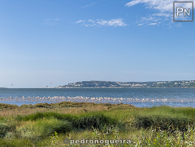 Set_2025_051 650px.jpg