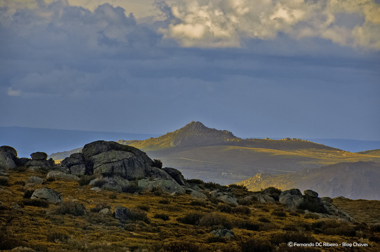 1600-barroso XXI (356).jpg