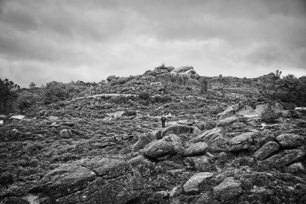 _JMF1385 - cópia copy.jpg _JMF1385 - cópia copy.jpg