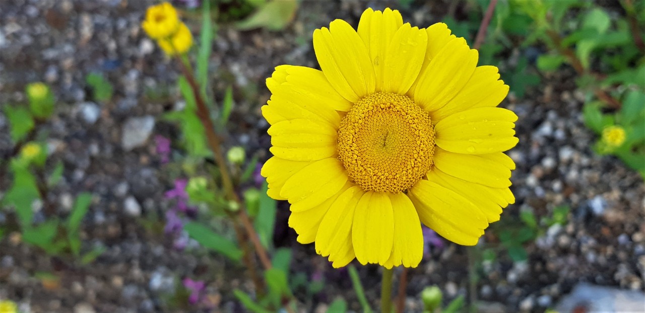 20180430_195135.jpg 20180430_195135.jpg