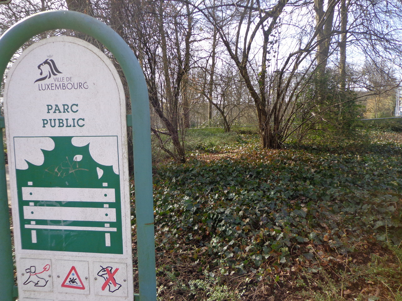 DSC03177.JPG DSC03177.JPG