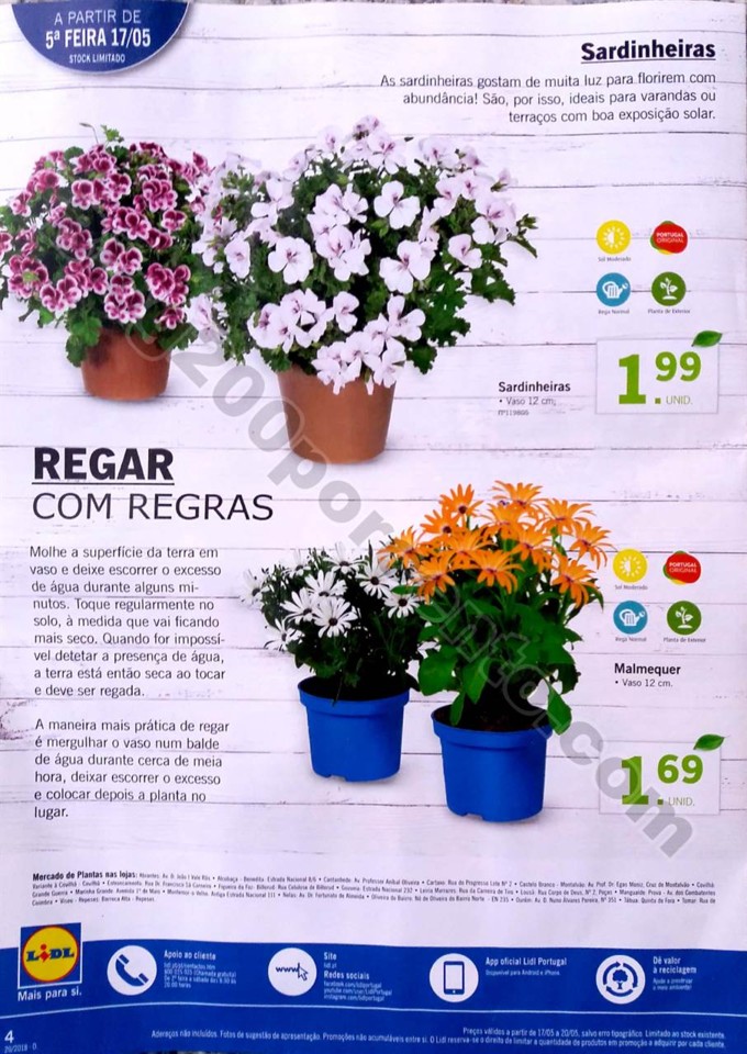 mercado plantas lidl_4.jpg