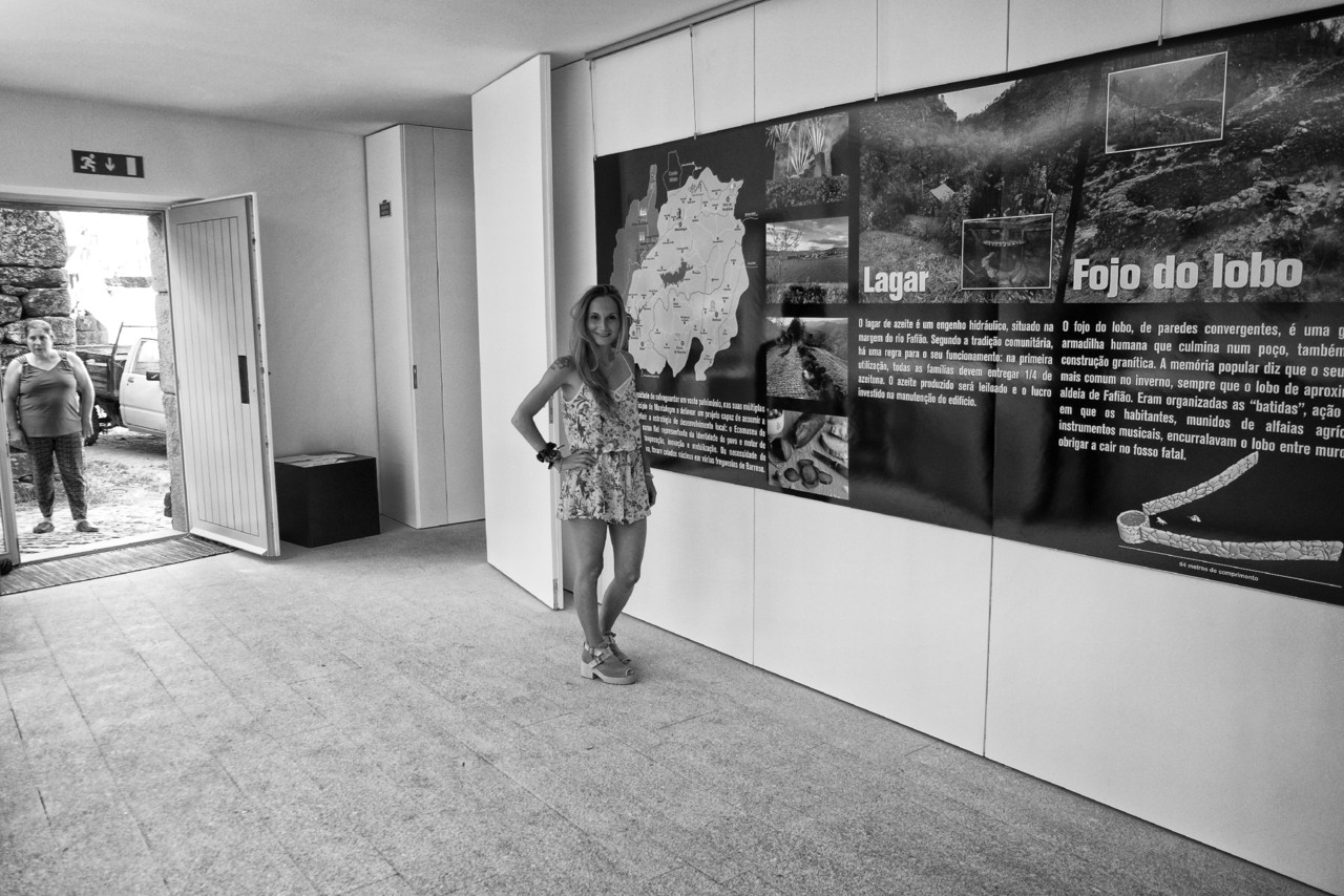 DSCF7209 - cópia copy.jpg