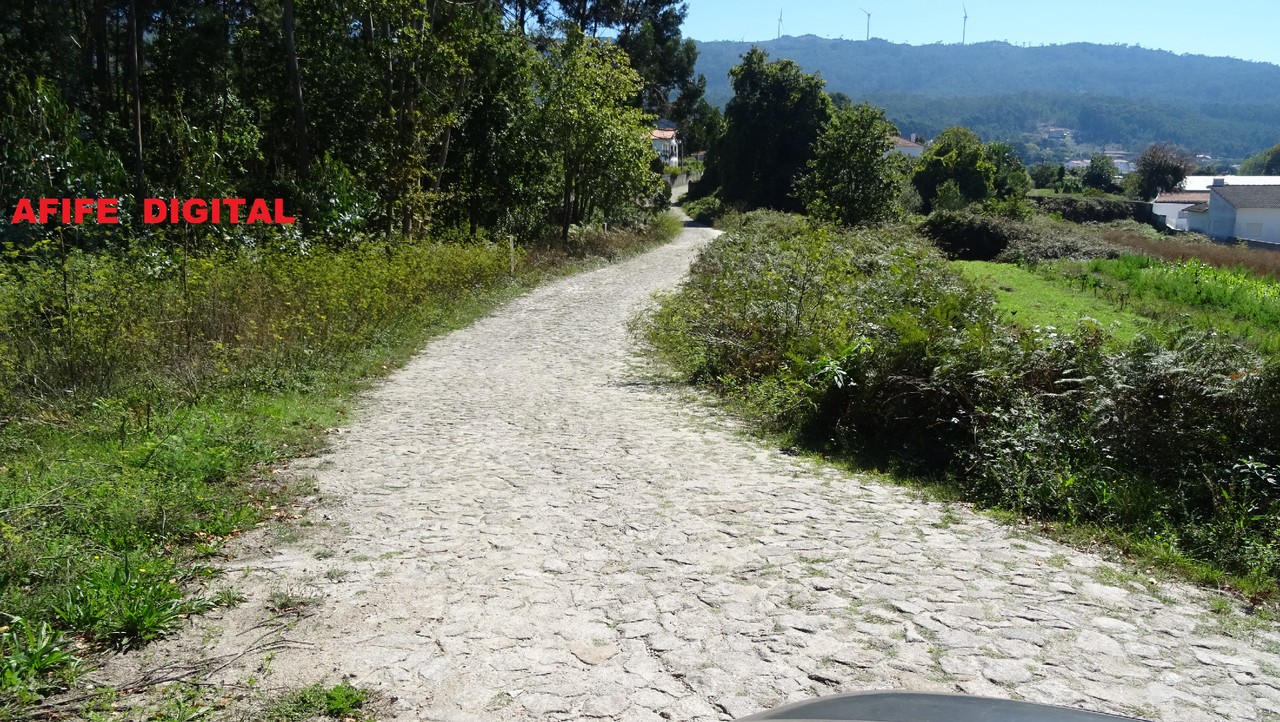 DSC03018.JPG DSC03018.JPG