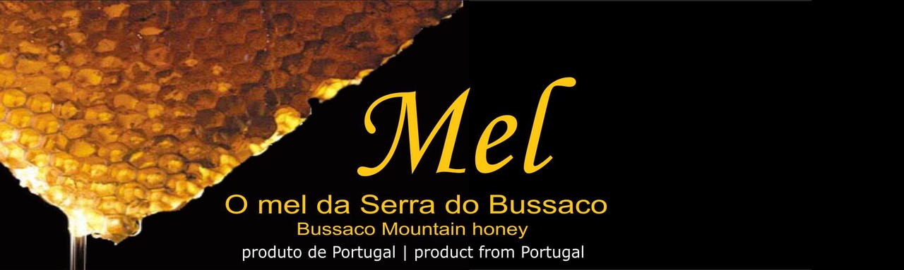 11894618_1602801079987202_5517880307465775265_o.jp 11894618_1602801079987202_5517880307465775265_o.jp