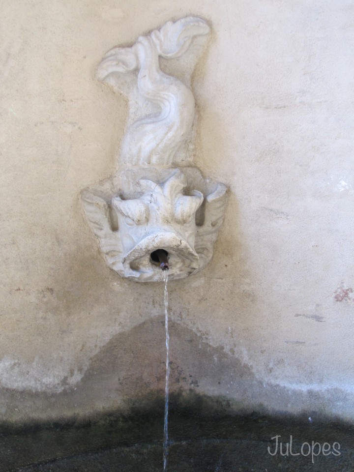 IMG_4480.jpg IMG_4480.jpg