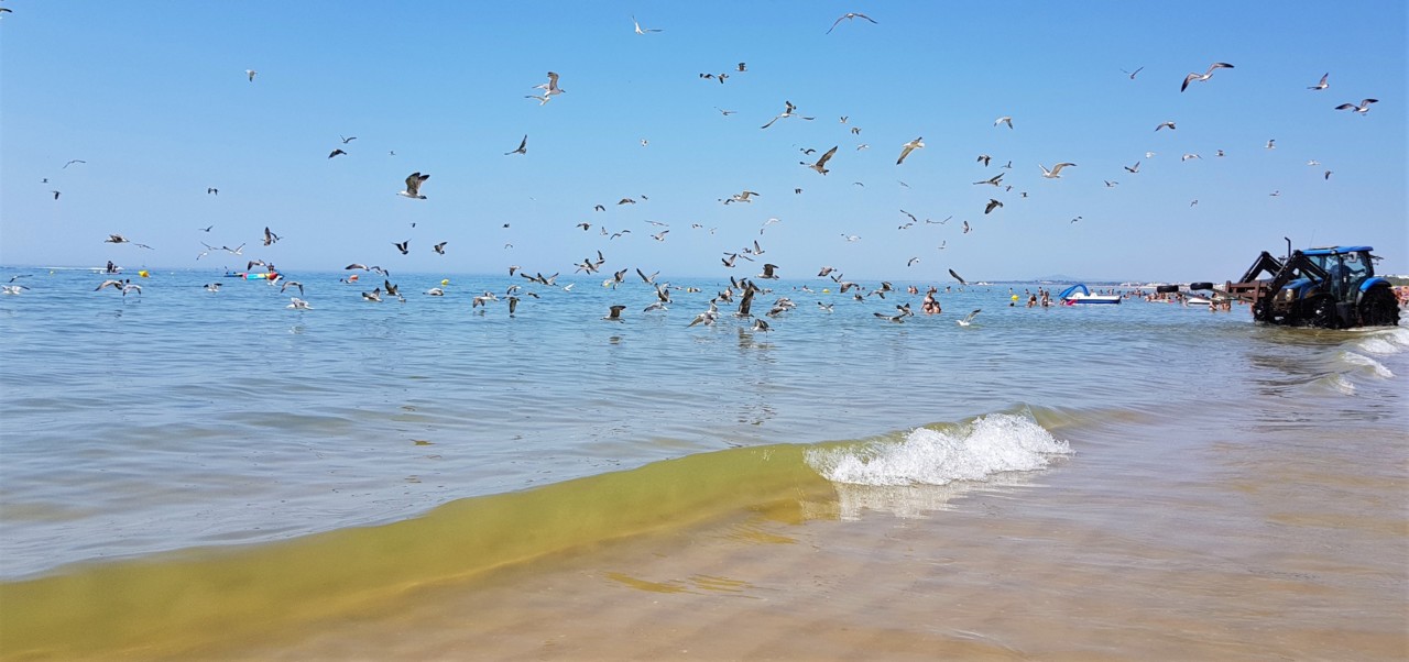 20180818_113826.jpg 20180818_113826.jpg