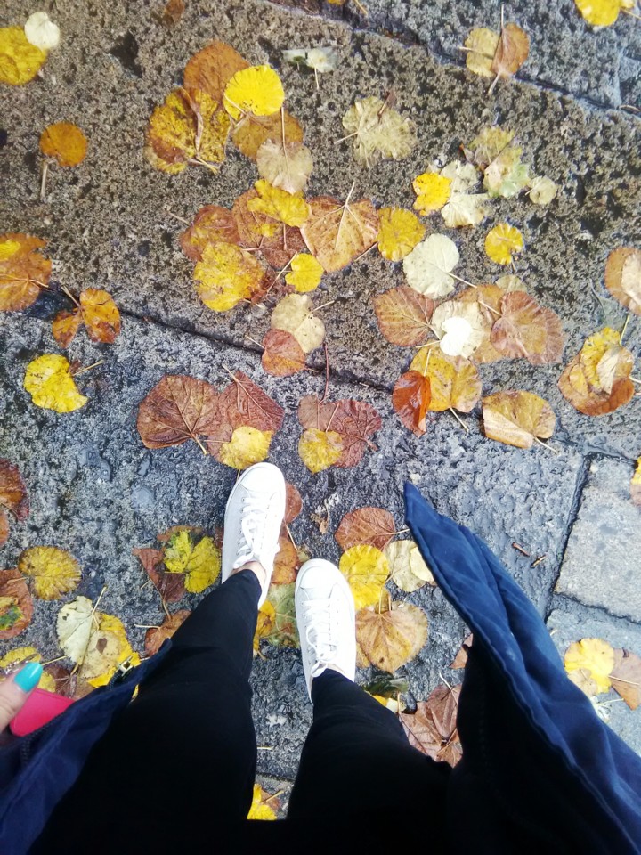 1542874511329.jpg 1542874511329.jpg