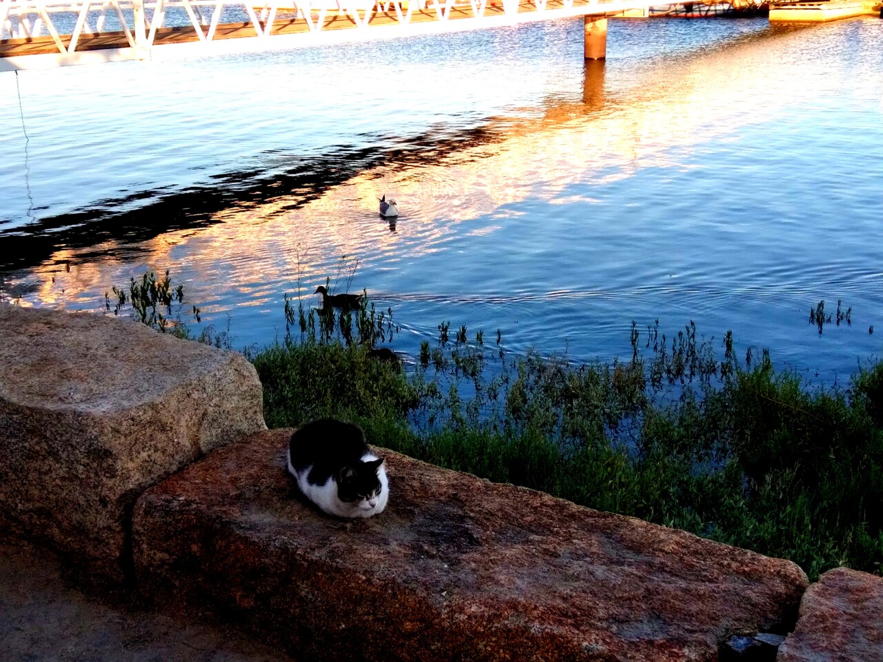 20210728_195217 - Cópia (2).jpg