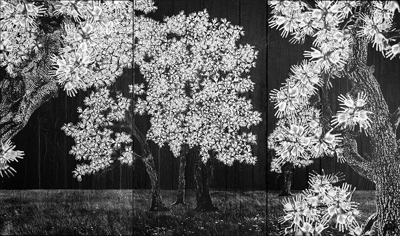 imgi_16_participatory-tree-scanned-hands-jr-montpe