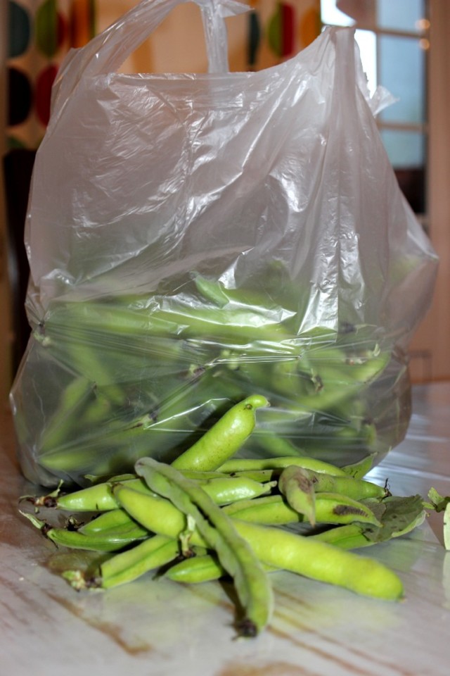 Quarentena - dia 18.jpg