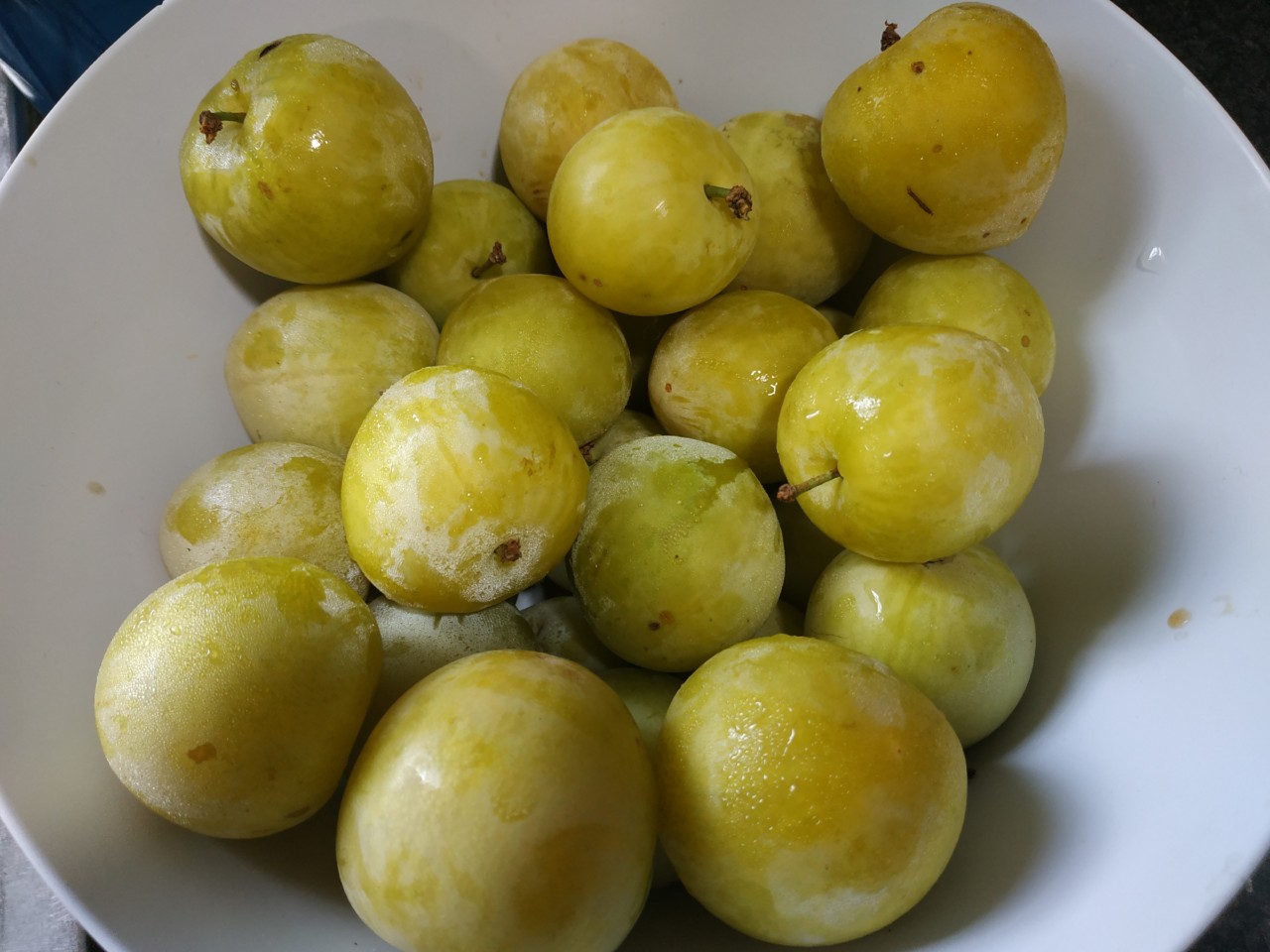 IMG_20190713_122427.jpg IMG_20190713_122427.jpg