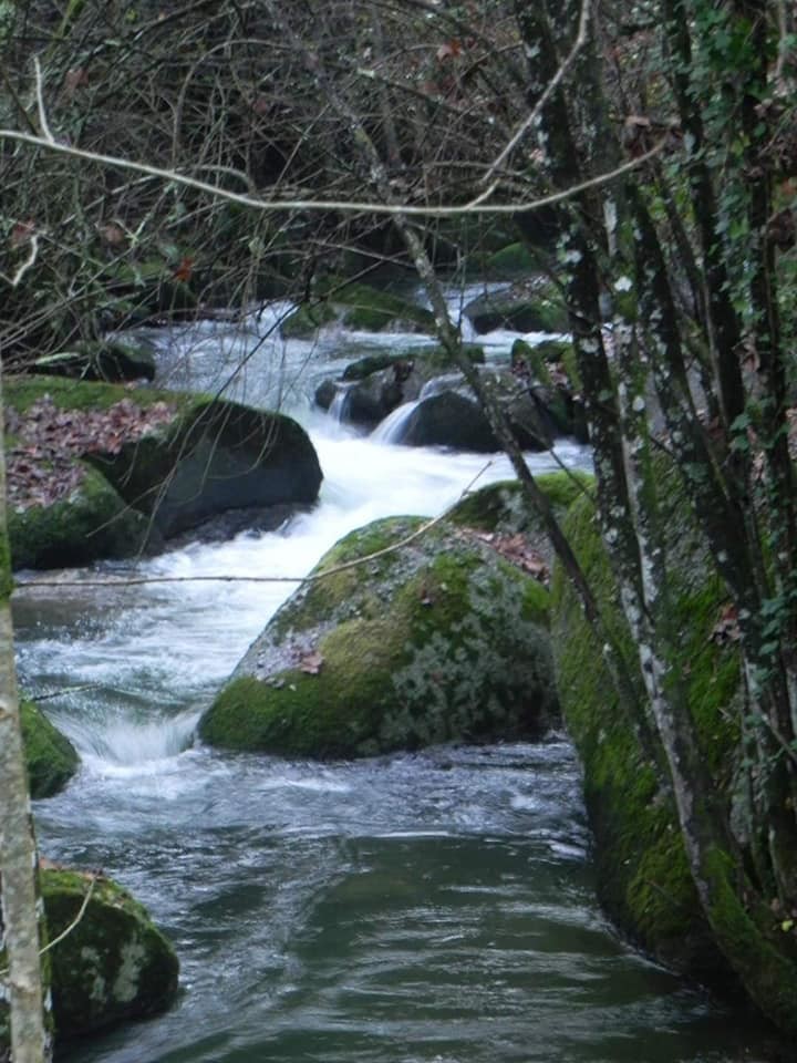 74242366_2518713111547658_5139546441227698176_n.jp