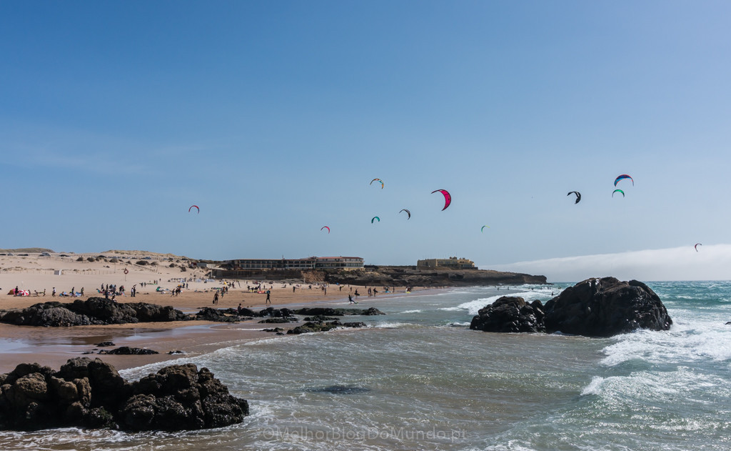 DSC00651.jpg DSC00651.jpg