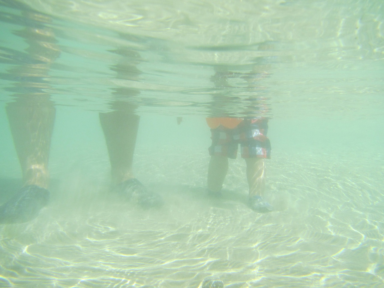 IMG_0485.JPG IMG_0485.JPG