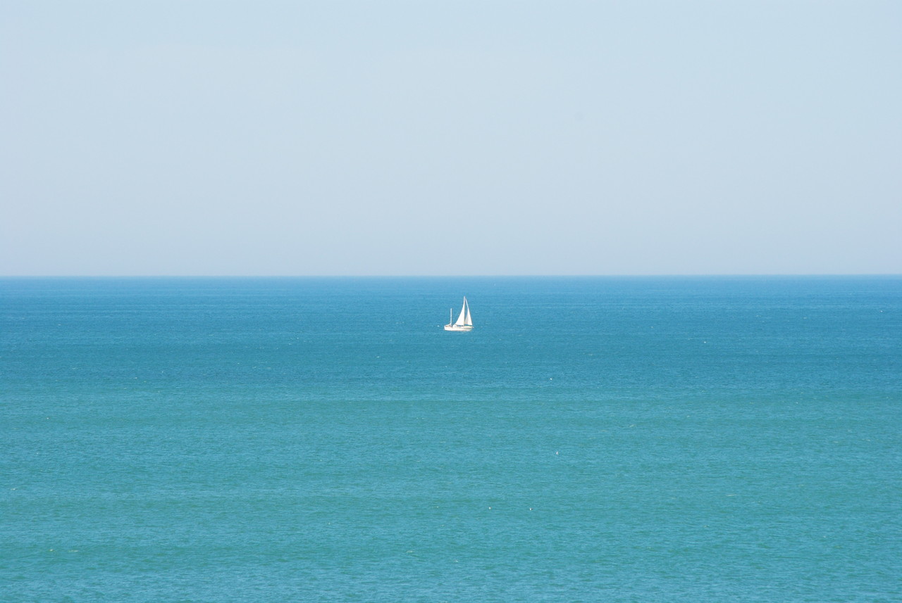 DSC_0835.JPG DSC_0835.JPG