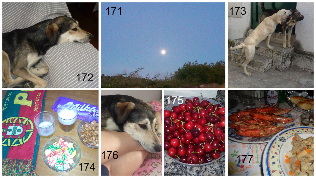 171 a 177.jpg 171 a 177.jpg